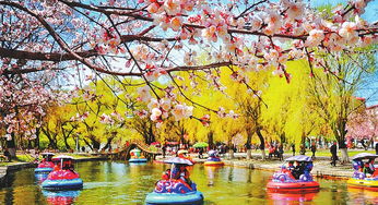 賞花觀鳥登山季 北國之春孕生機，五大連池的自然盛宴